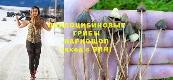 прущий лед Арсеньев