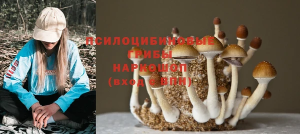 прущая мука Армянск