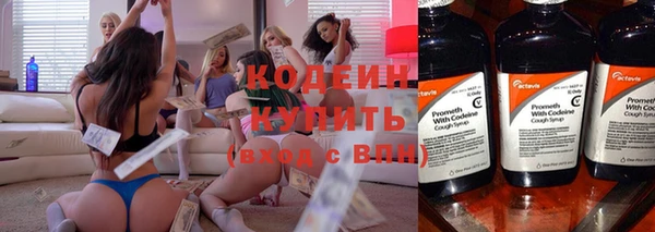 меф Ельня