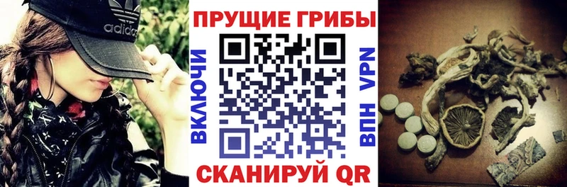 Галлюциногенные грибы MAGIC MUSHROOMS  Оханск 